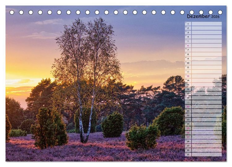Produktbild: Heidespaziergang (Tischkalender 2026 DIN A5 quer), CALVENDO Monatskalender