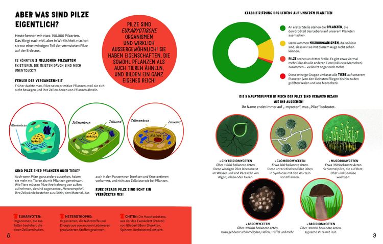 Produktbild: Die Geheimnisse der Pilze