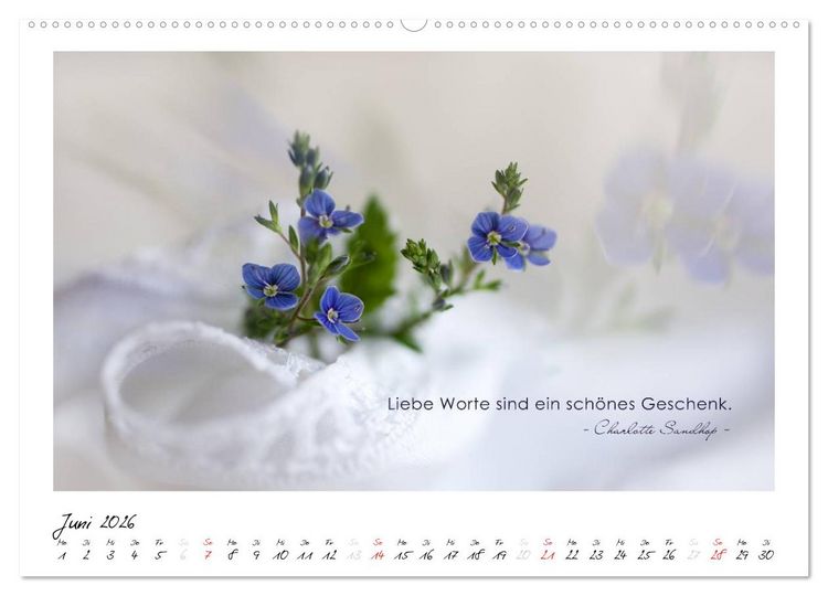 Produktbild: Mit guten Gedanken durch das Jahr (hochwertiger Premium Wandkalender 2026 DIN A2 quer), Kunstdruck in Hochglanz