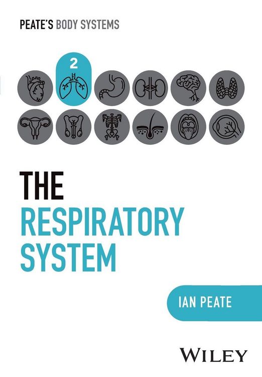 Produktbild: The Respiratory System