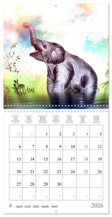Produktbild: Grands et doux Les &eacute;l&eacute;phants (Calendrier mural carr&eacute; 2026 30x30 cm) Calendrier double avec une page pour vos prises de notes
