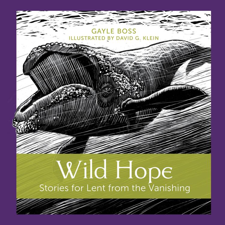 Produktbild: Wild Hope