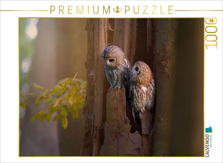 Produktbild: CALVENDO Puzzle Eulenliebe | 1000 Teile Lege-Gr&ouml;&szlig;e 64x48cm Foto-Puzzle f&uuml;r gl&uuml;ckliche Stunden