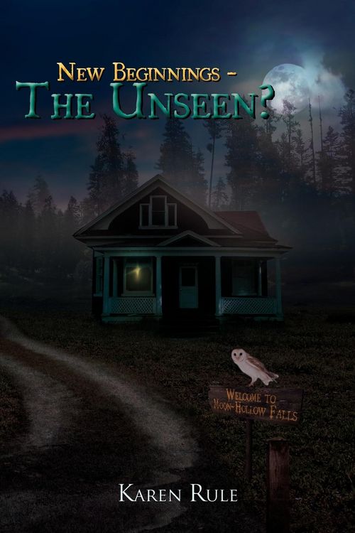 Produktbild: New Beginnings - The Unseen?