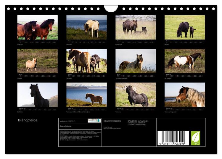 Produktbild: Islandpferde (Wandkalender 2026 DIN A4 quer), CALVENDO Monatskalender