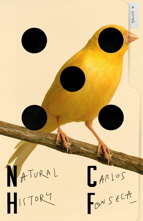 Produktbild: Natural History