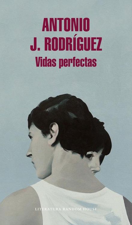 Produktbild: Vidas perfectas