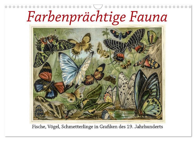 Produktbild: Farbenpr&auml;chtige Fauna. Fische, V&ouml;gel, Schmetterlinge in Grafiken des 19 Jahrhunderts (Wandkalender 2026 DIN A3 quer), CALVENDO Monatskalender