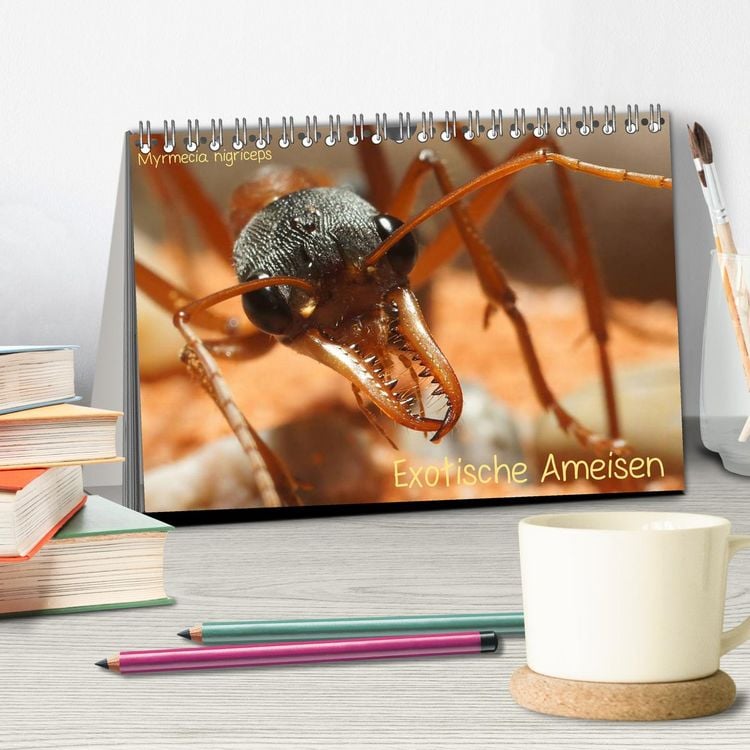 Produktbild: Exotische Ameisen (Tischkalender 2026 DIN A5 quer), CALVENDO Monatskalender