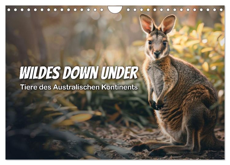 Produktbild: Wildes Down Under: Tiere des Australischen Kontinents (Wandkalender 2026 DIN A4 quer), CALVENDO Monatskalender