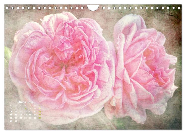 Produktbild: Rosen Romantik (Wandkalender 2026 DIN A4 quer), CALVENDO Monatskalender