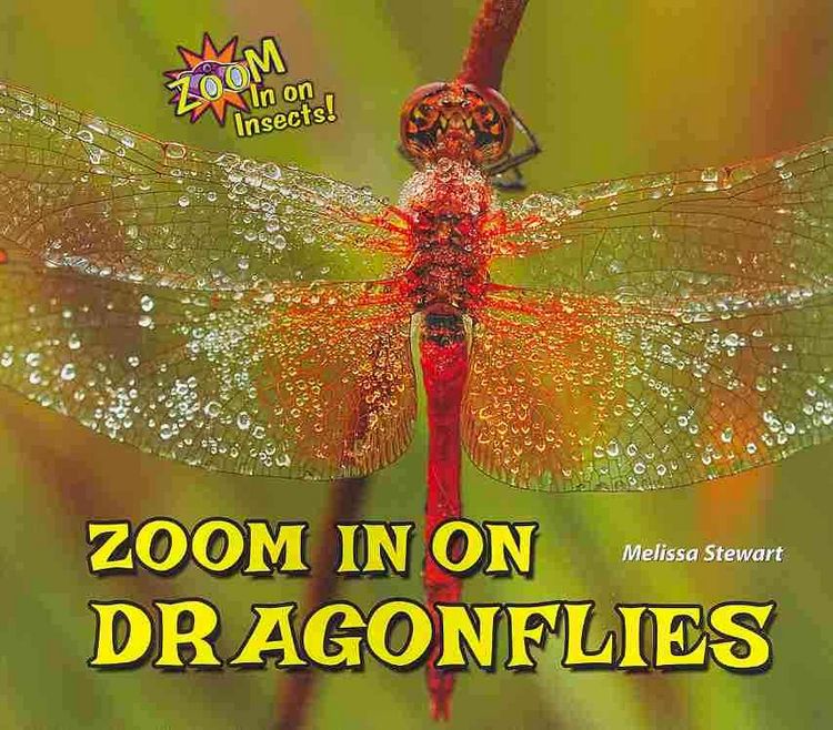 Produktbild: Zoom in On Dragonflies