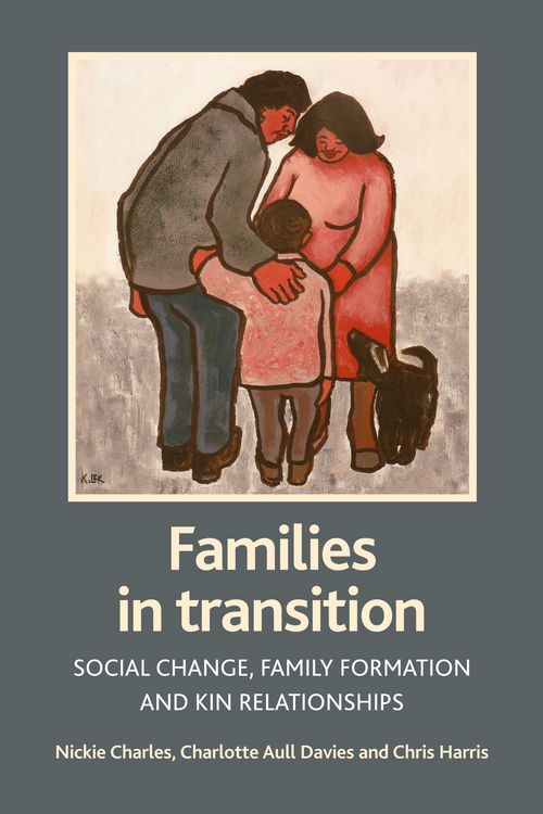 Produktbild: Families in transition