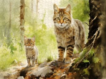 Produktbild: CALVENDO Puzzle Ein Motiv aus dem Kalender "Zw&ouml;lf Monate im Wald" | 1000 Teile Lege-Gr&ouml;&szlig;e 64x48cm Foto-Puzzle f&uuml;r gl&uuml;ckliche Stunden