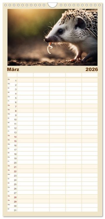 Produktbild: Familienplaner 2026 - Igel - Wildtier des Jahres 2024 mit 5 Spalten (Wandkalender, 21 x 45 cm) CALVENDO