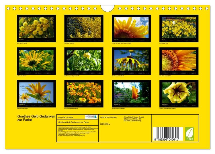 Produktbild: Goethes Gelb Gedanken zur Farbe (Wandkalender 2026 DIN A4 quer), CALVENDO Monatskalender