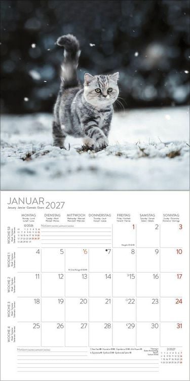 Produktbild: Cats 2027