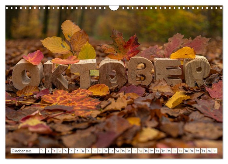 Produktbild: Holz, ein fantastischer Rohstoff. (Wandkalender 2026 DIN A3 quer), CALVENDO Monatskalender