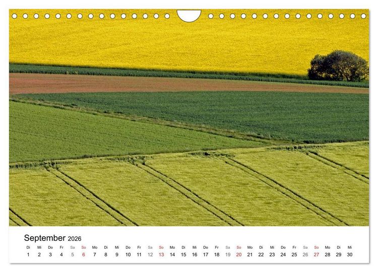 Produktbild: Rapsodie (Wandkalender 2026 DIN A4 quer), CALVENDO Monatskalender