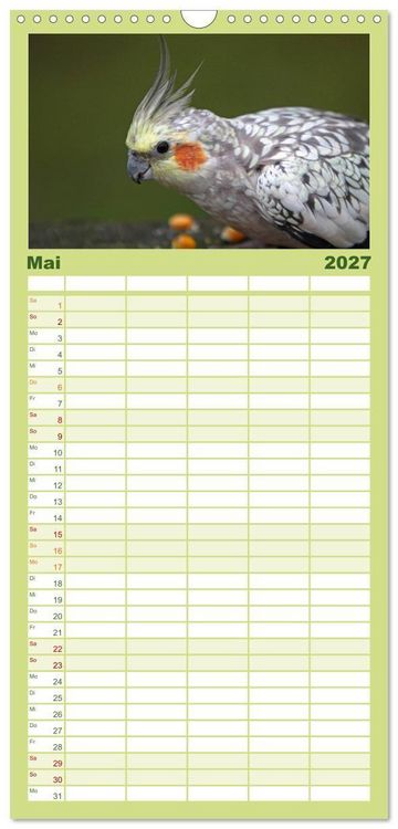Produktbild: Familienplaner 2027 - Nymphensittiche mit 5 Spalten (Wandkalender, 21 x 45 cm) CALVENDO