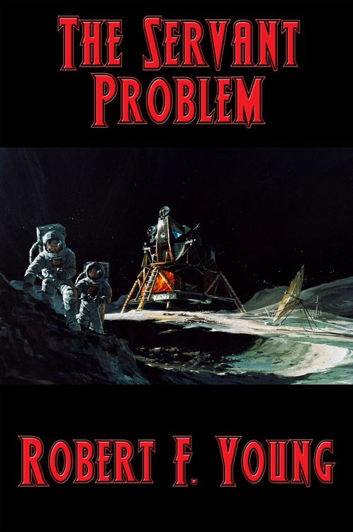 Produktbild: The Servant Problem
