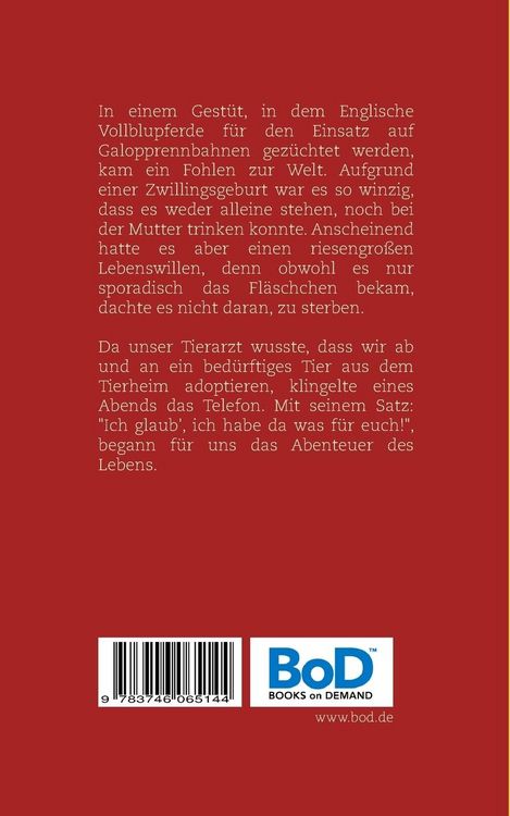 Produktbild: Ein Pferd auf dem Flur