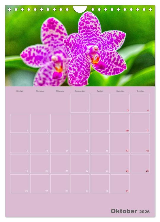 Produktbild: Nachtfalterorchideen in High Dynamic (Wandkalender 2026 DIN A4 hoch), CALVENDO Monatskalender