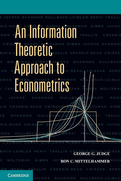 Produktbild: An Information Theoretic Approach to Econometrics