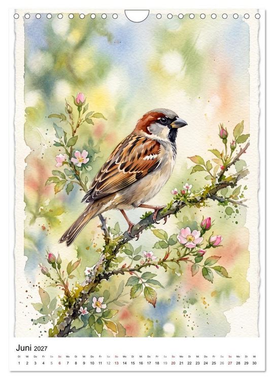 Produktbild: Gefiederte S&auml;nger der Natur (Wandkalender 2027 DIN A4 hoch), CALVENDO Monatskalender