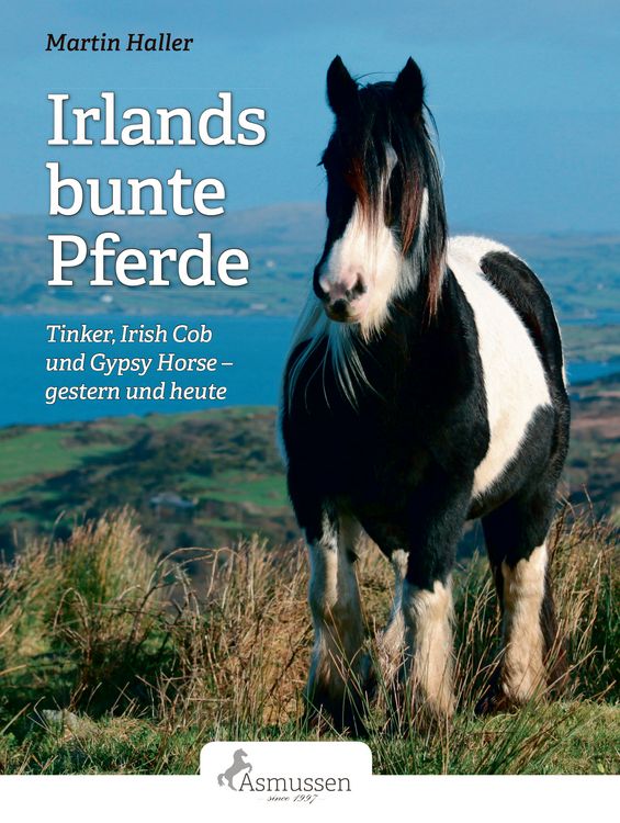 Produktbild: Irlands bunte Pferde
