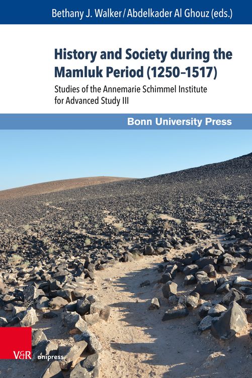 Produktbild: History and Society during the Mamluk Period (1250&ndash;1517)