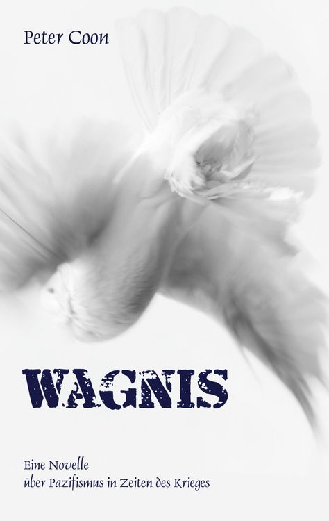 Produktbild: Wagnis