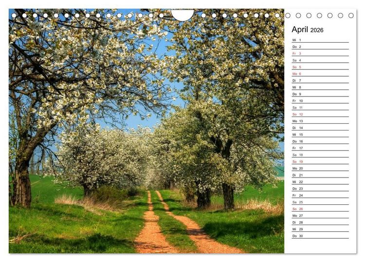 Produktbild: Landschaften im Harz (Wandkalender 2026 DIN A4 quer), CALVENDO Monatskalender