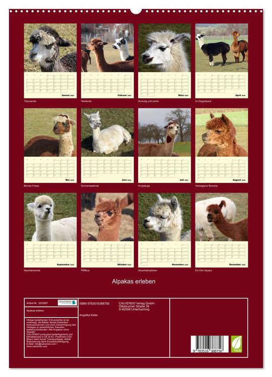 Produktbild: Alpakas erleben (hochwertiger Premium Wandkalender 2026 DIN A2 hoch), Kunstdruck in Hochglanz