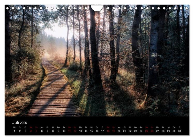 Produktbild: Wundersame Natur in Deutschland (Wandkalender 2026 DIN A4 quer), CALVENDO Monatskalender