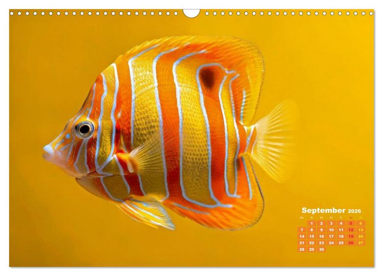 Produktbild: Die Welt in Orange (Wandkalender 2026 DIN A3 quer), CALVENDO Monatskalender