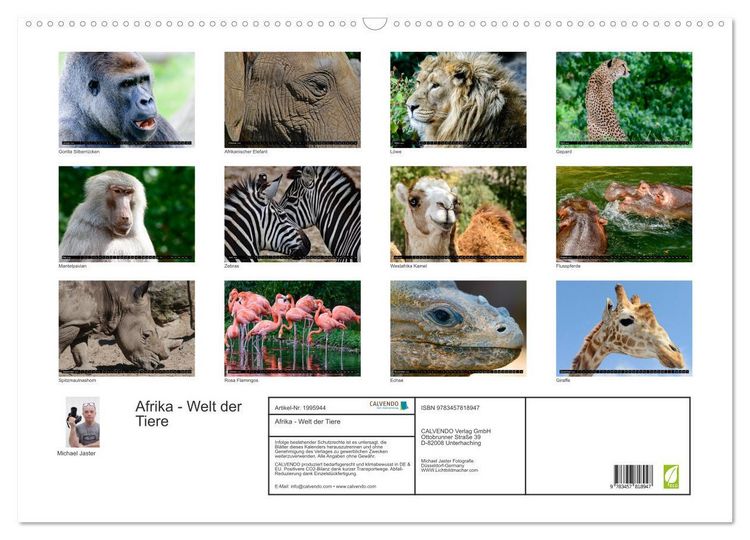 Produktbild: Afrika - Welt der Tiere (Wandkalender 2026 DIN A2 quer), CALVENDO Monatskalender