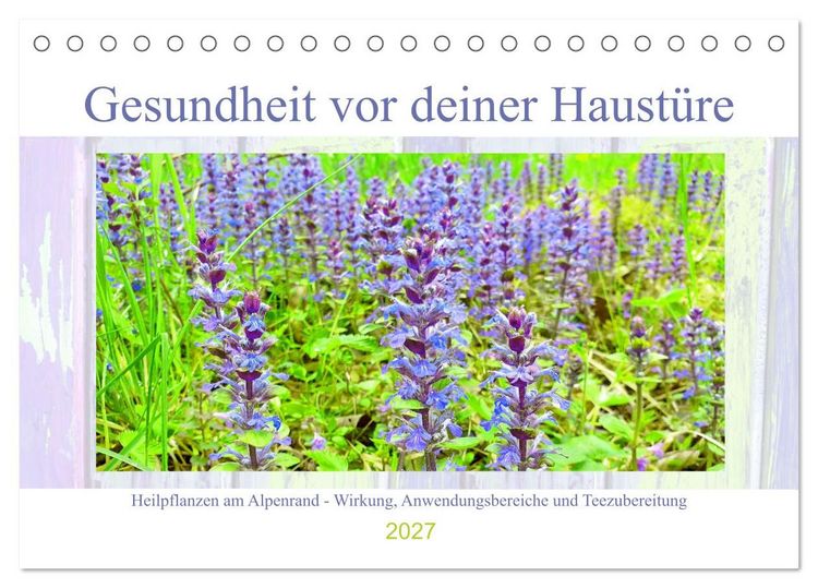 Produktbild: Gesundheit vor deiner Haust&uuml;re - Heilpflanzen am Alpenrand - Wirkung, Anwendungsbereiche und Teezubereitung (Tischkalender 2027 DIN A5 quer), CALVENDO Monatskalender