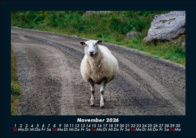 Produktbild: Welt der Tiere 2026 Fotokalender DIN A5