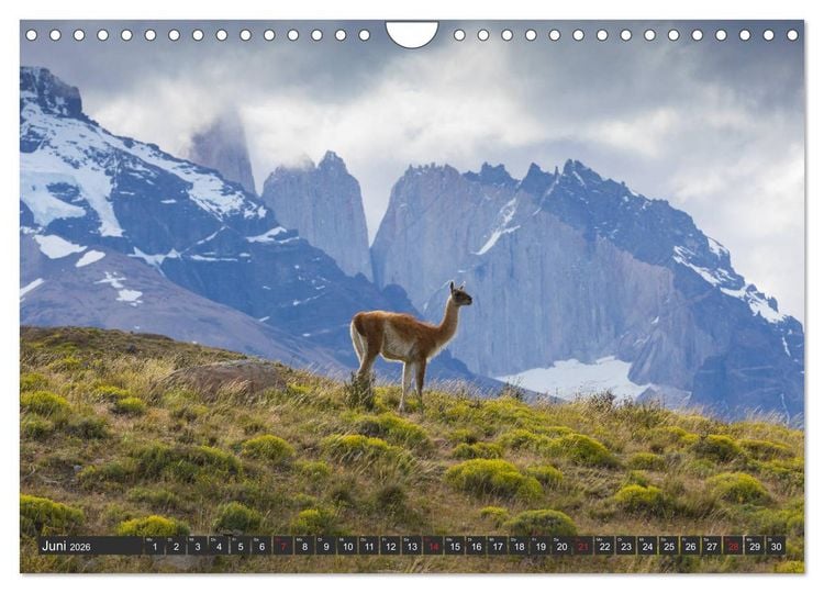 Produktbild: Traumwelt Chile (Wandkalender 2026 DIN A4 quer), CALVENDO Monatskalender