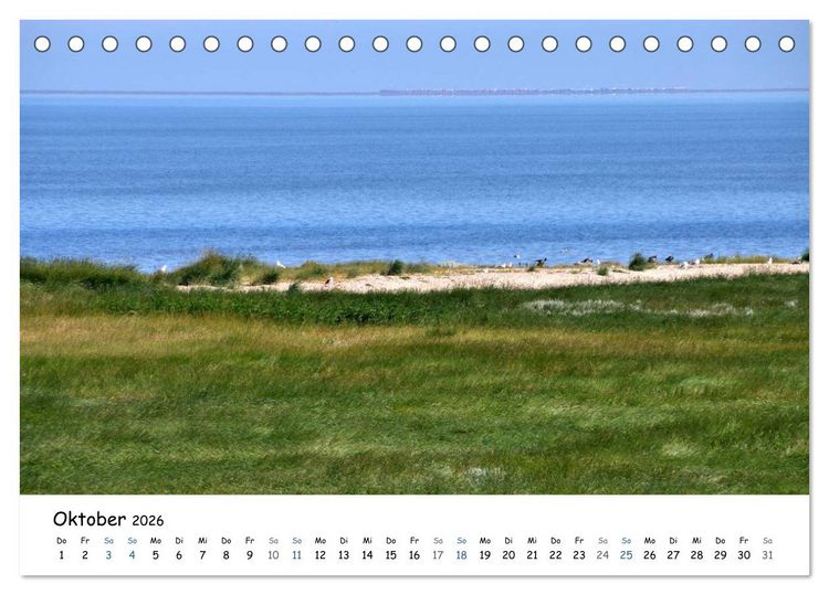Produktbild: F&ouml;hr und Halligwelt 2026 (Tischkalender 2026 DIN A5 quer), CALVENDO Monatskalender