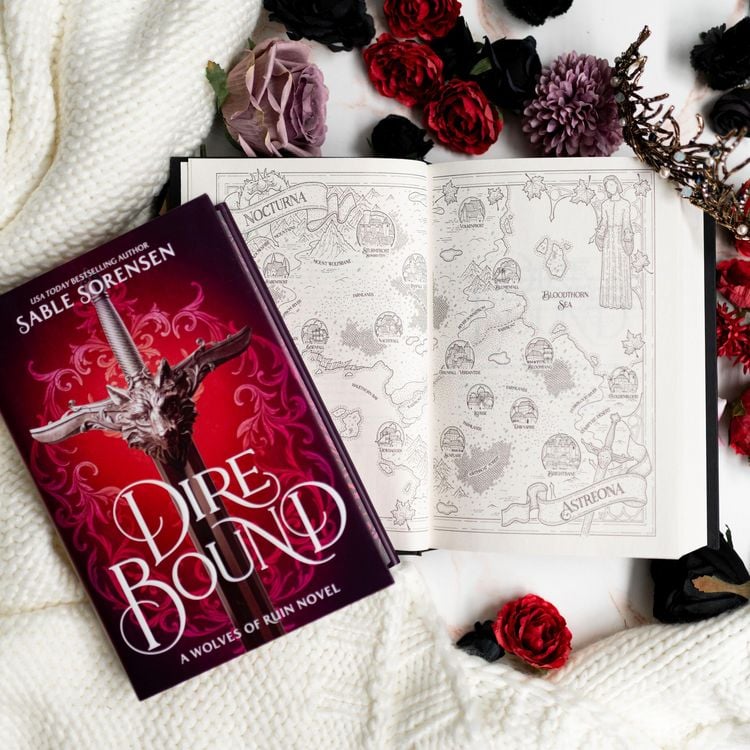 Produktbild: Dire Bound (Standard Edition)