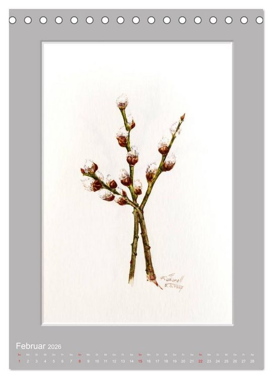 Produktbild: Alpenblumen Aquarelle aus Tirol (Tischkalender 2026 DIN A5 hoch), CALVENDO Monatskalender