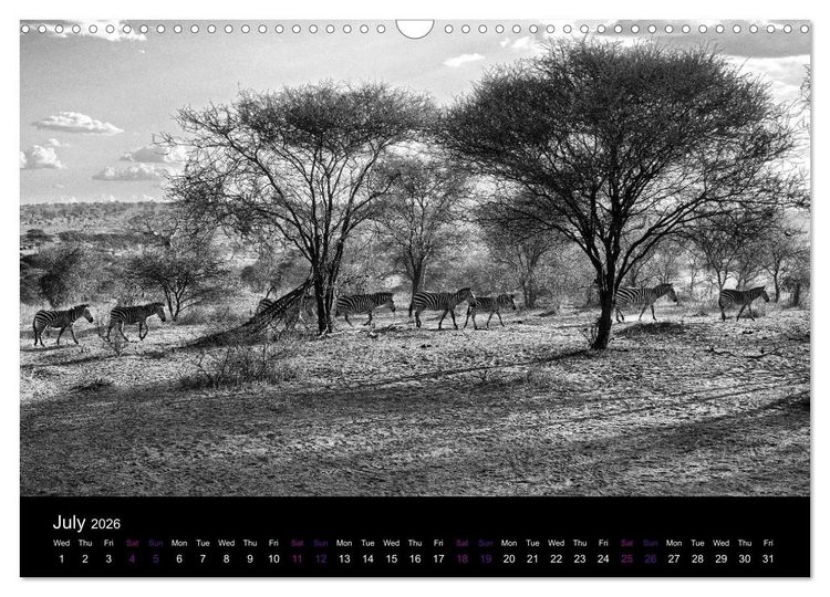 Produktbild: East Africa - Tanzania and Kenya / UK-Version (Wall Calendar 2026 DIN A3 landscape), CALVENDO 12 Month Wall Calendar