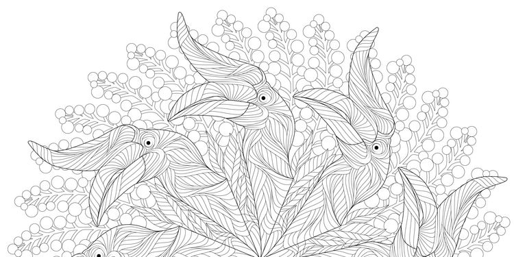Produktbild: Tier-Mandalas