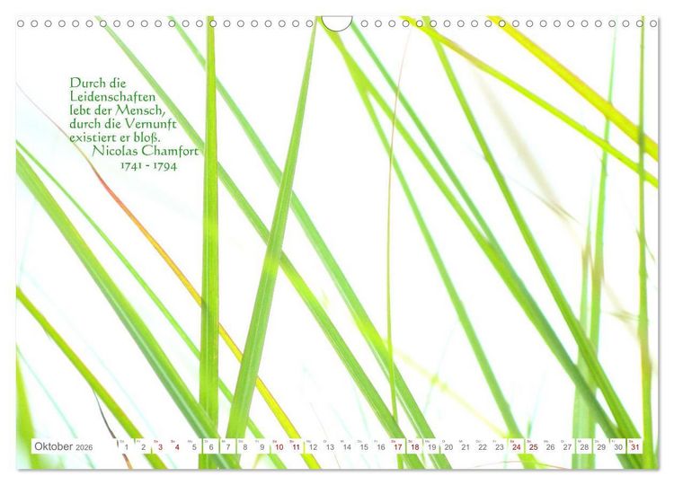 Produktbild: Leben! - Nachdenk-Kalender (Wandkalender 2026 DIN A3 quer), CALVENDO Monatskalender