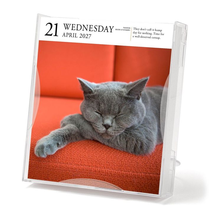 Produktbild: Cat Page-A-Day&reg; Gallery Calendar 2027