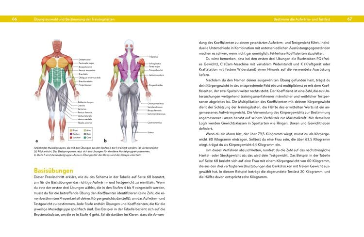 Produktbild: Krafttraining &ndash; Das Handbuch f&uuml;r Einsteiger