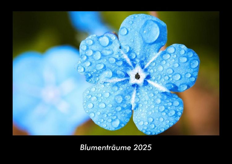 Produktbild: Blumentr&auml;ume 2025 Fotokalender DIN A3