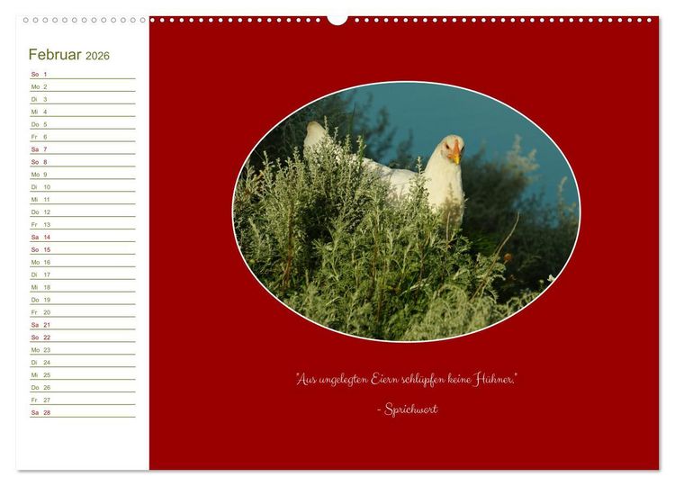 Produktbild: Freilaufende H&uuml;hner (Wandkalender 2026 DIN A2 quer), CALVENDO Monatskalender